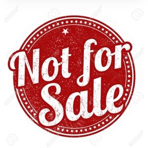 NWOB 🥾 Timberlands w/ Pink Laces - Size 11